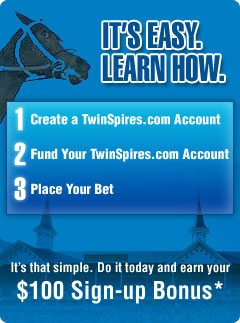 Horse Betting Learn How