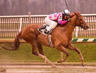 Eighttofasttocatch (Jim McCue/Maryland Jockey Club)