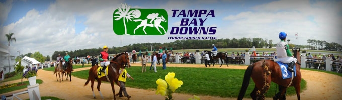 tampa bay downs racetrack